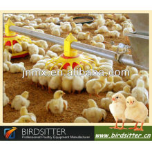 ready sale full automatic control chicken shed